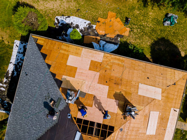 Roof Gutter Cleaning in Bloomington, TX