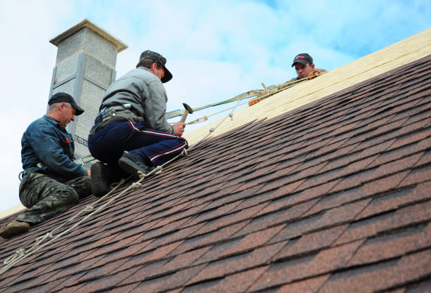 Best Gutter Installation and Roofing  in Bloomington, TX